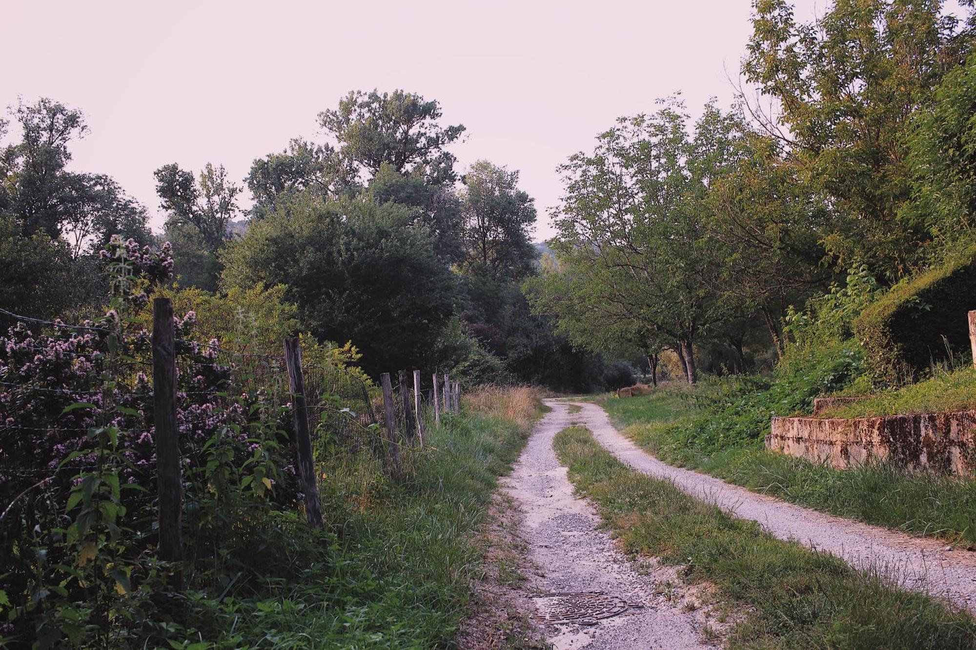 Joli Gite Pour 5 Personnes : Chez Cherrie Saint-Julien-de-Lampon Bagian luar foto
